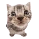 squea.net